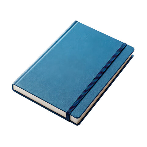 Executive Diary